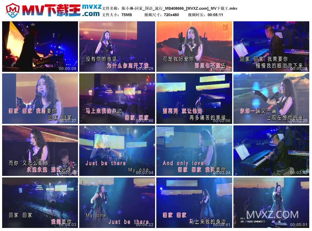 陈小琳-回家_国语_流行_MB408666